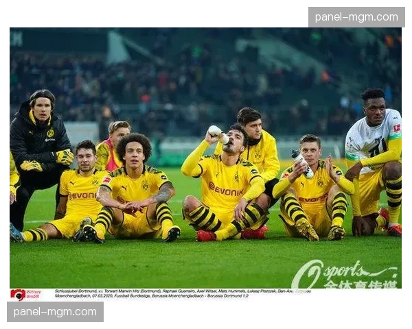 德国警方通报:成功抓获一个在德甲赛场周边倒卖假球票的犯罪团伙 德国警方通报:成功抓获一个在德甲赛场周边倒卖假球票的犯罪团伙